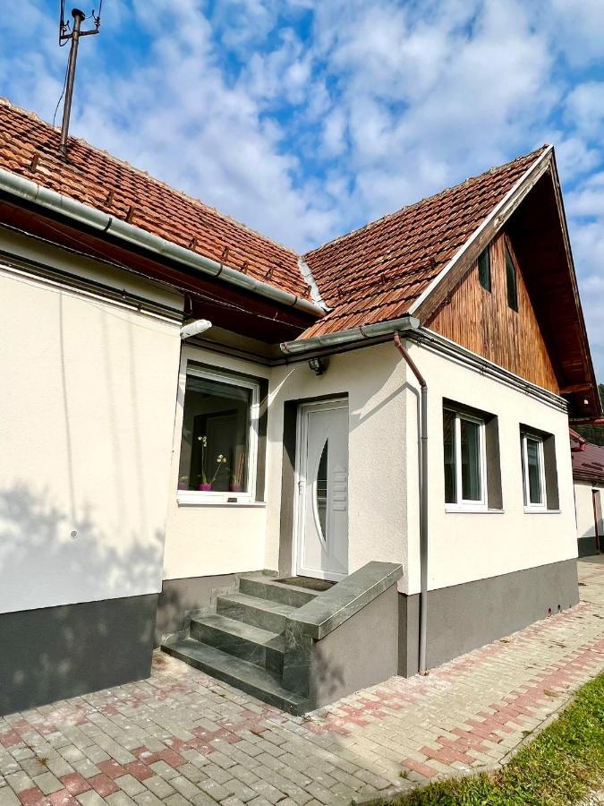Silver House Rasnov エクステリア 写真