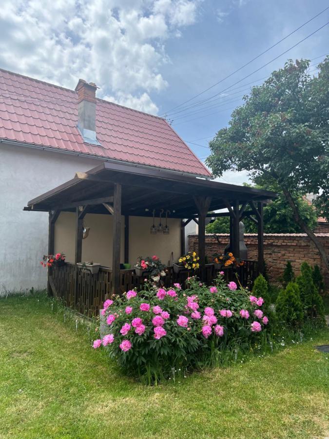 Silver House Rasnov エクステリア 写真