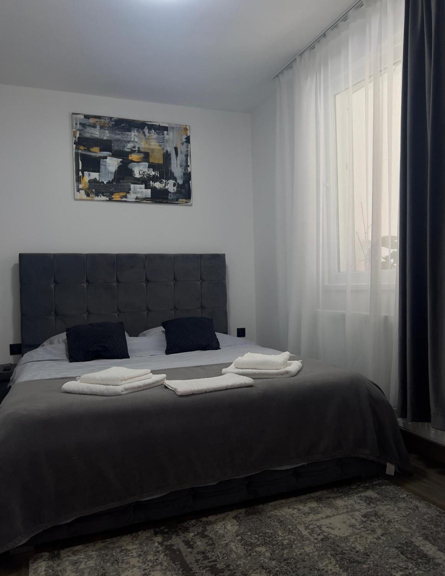 Silver House Rasnov エクステリア 写真